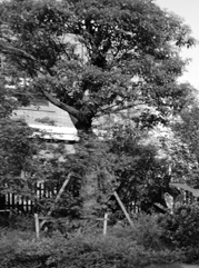 左贡注册公司